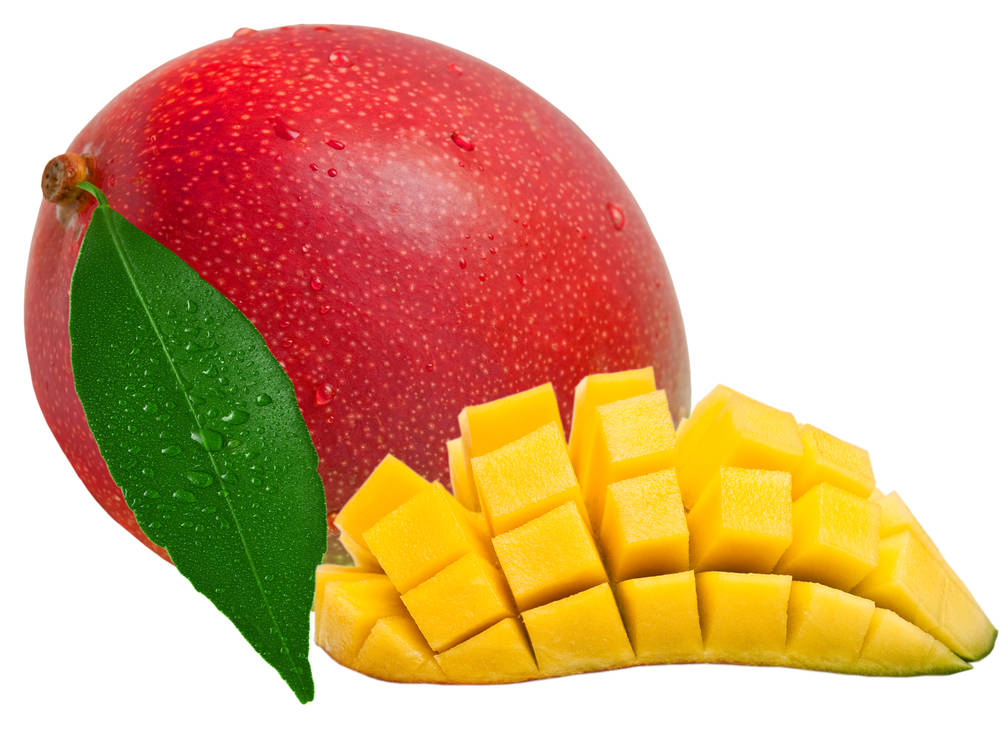 mangue africaine